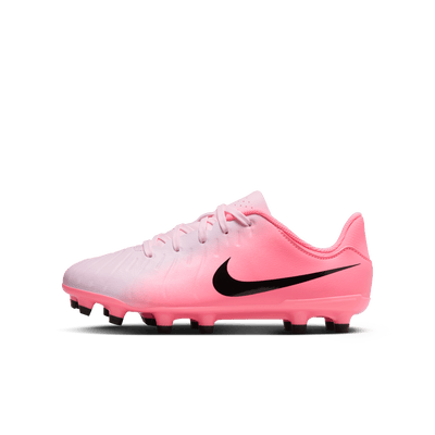 Nike Legend 10 Academy Fg Jr Dv4348 601