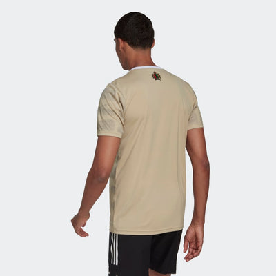Adidas Ajax Daily Record Colab Jersey Hg1393