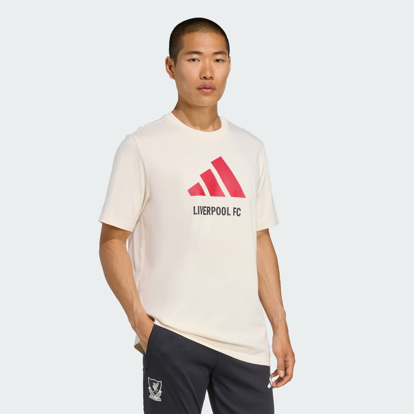 ADIDAS LIVERPOOL GRAPHIC TEE 25/26