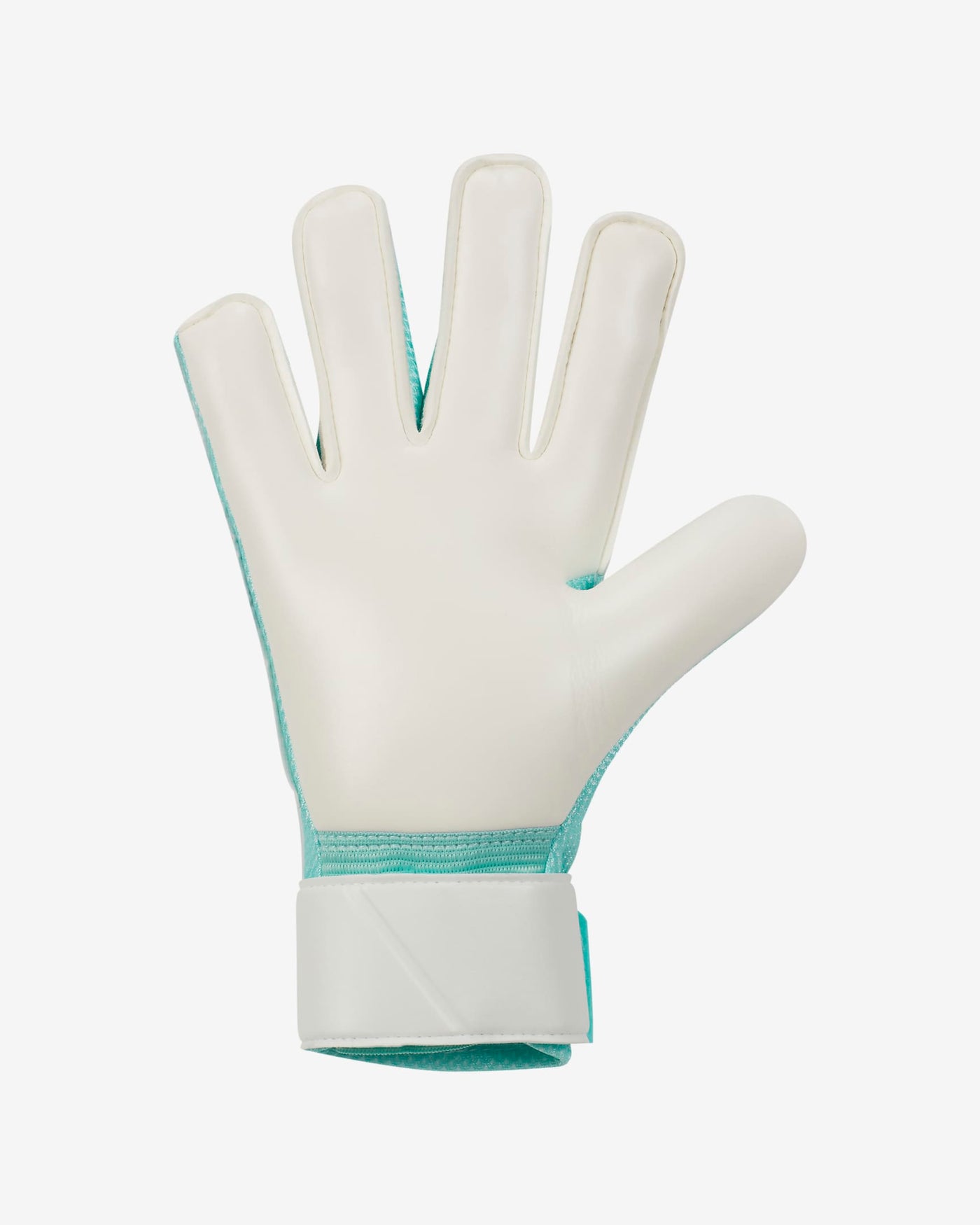 Nike Gk Match Ho23 Gloves Fj4826010