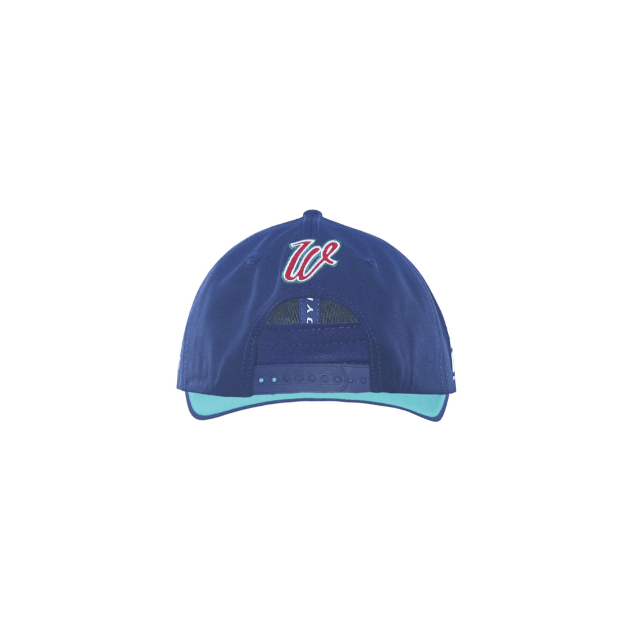 DYNASTY 2026 WARRIORS MENS CAP