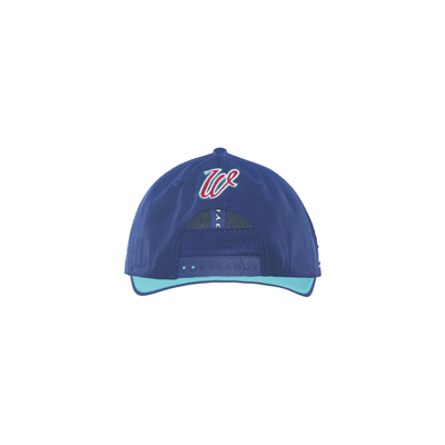 DYNASTY 2026 WARRIORS MENS CAP