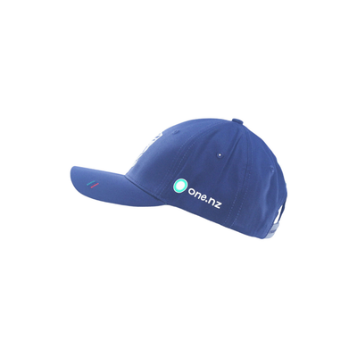 DYNASTY 2026 WARRIORS MENS CAP