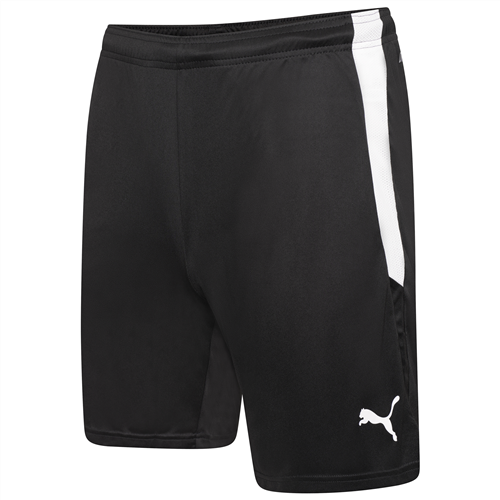 PUMA TEAM LIGA TRAINING SHORTS 65766757