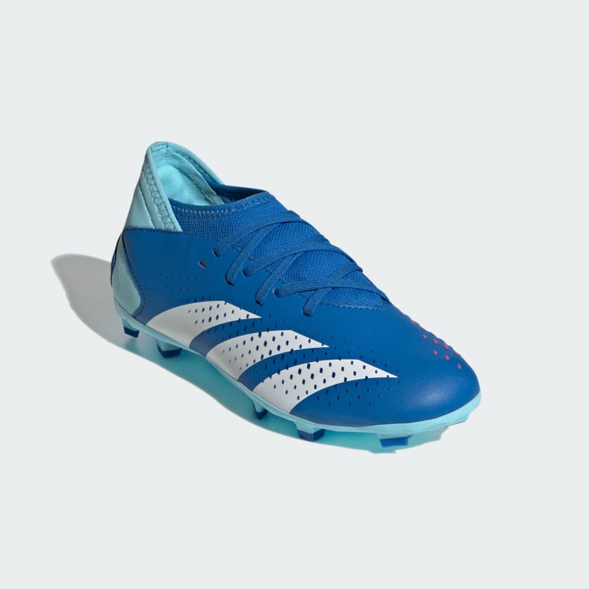 Adidas Predator Accuracy.3 Fg J Ie9503
