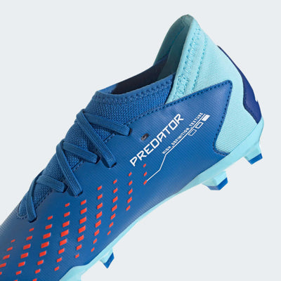 Adidas Predator Accuracy.3 Fg J Ie9503