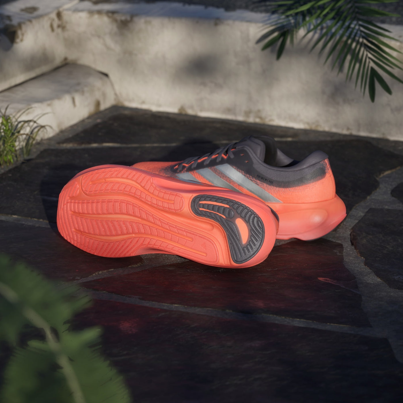 ADIDAS SUPERNOVA RISE 3 M