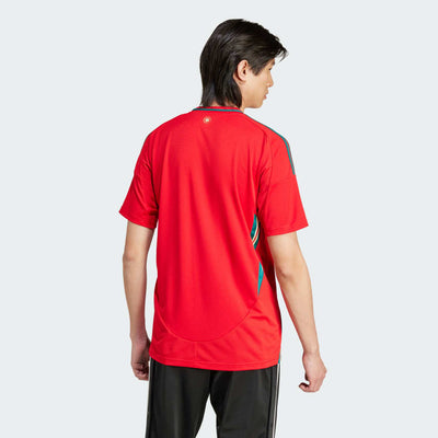 Adidas Faw Wales Home Jersey Iq2430