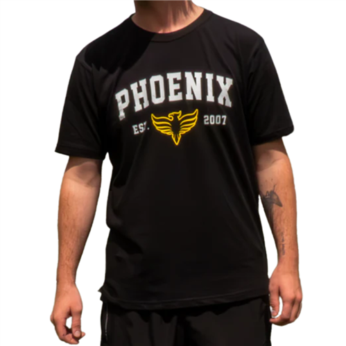 Paladin Phoenix Mens Casual Tee Wpx2324Casteem