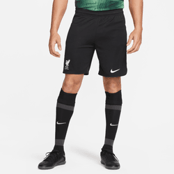 Nike Liverpool Away Short Dx2712010