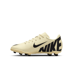 Nike Jr Vapor 15 Club Fg/Mg Dj5958700