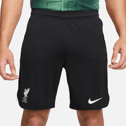 Nike Liverpool Away Short Dx2712010