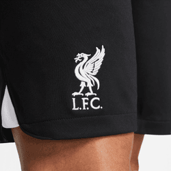 Nike Liverpool Away Short Dx2712010