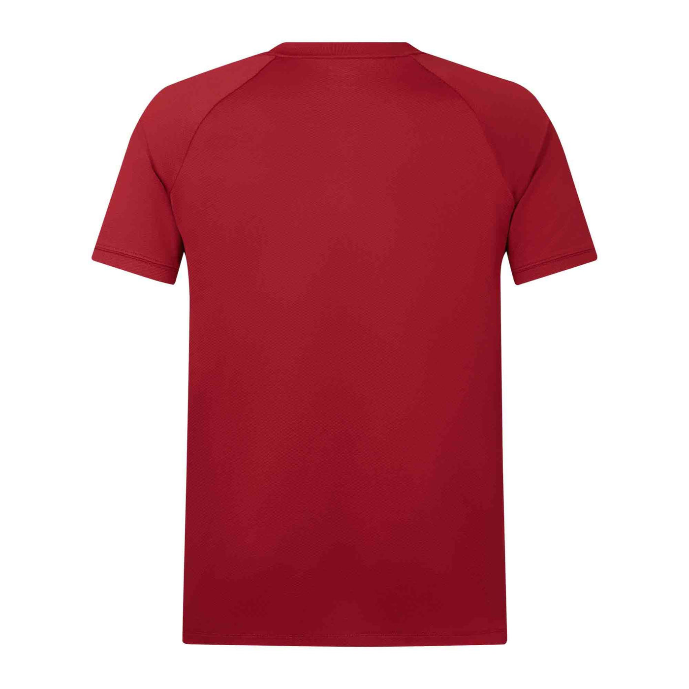 CCC CANTERBURY MENS BIL LIONS POLY POLO