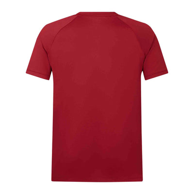 CCC CANTERBURY MENS BIL LIONS POLY POLO